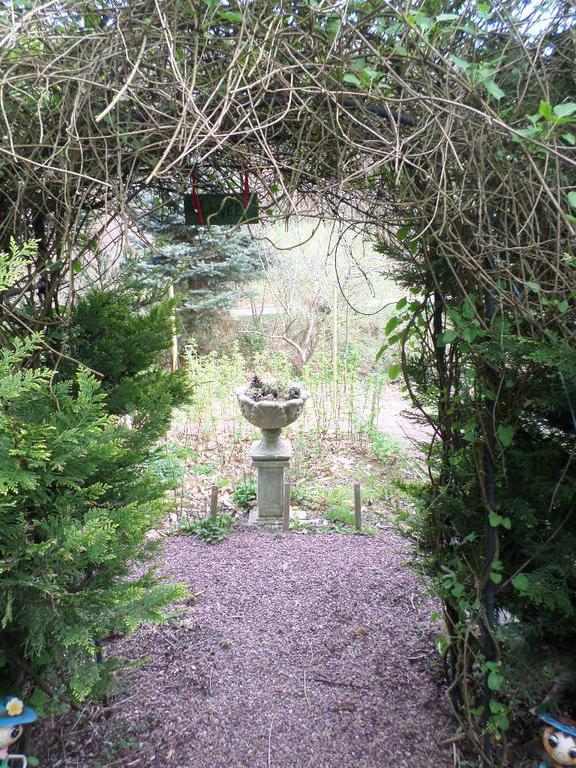 La Chevallerie B&B Isigny-le-Buat 外观 照片