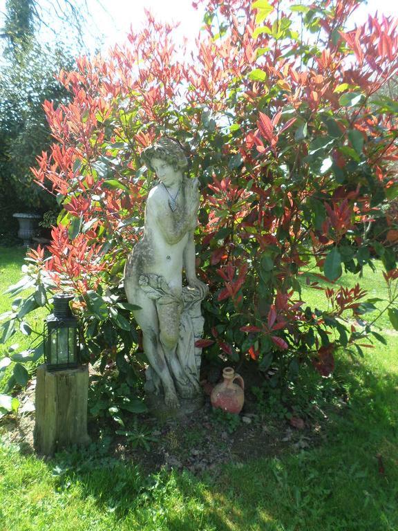 La Chevallerie B&B Isigny-le-Buat 外观 照片