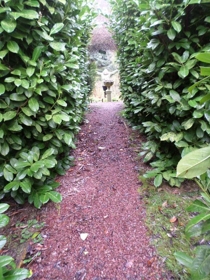 La Chevallerie B&B Isigny-le-Buat 外观 照片
