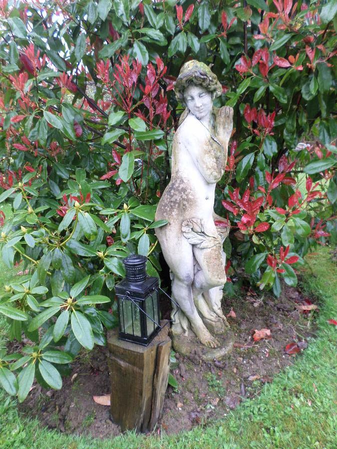 La Chevallerie B&B Isigny-le-Buat 外观 照片
