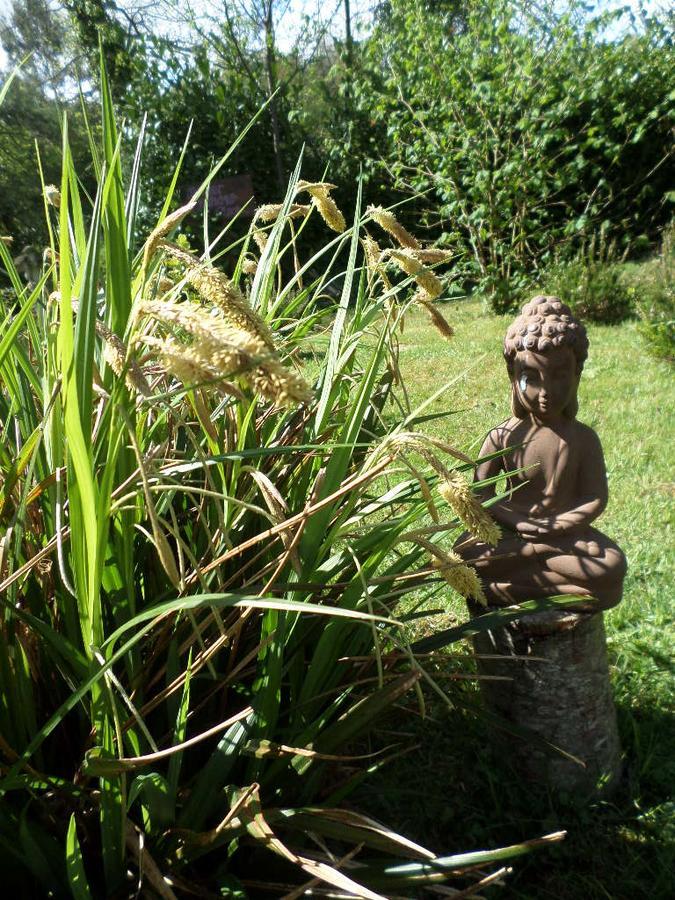 La Chevallerie B&B Isigny-le-Buat 外观 照片